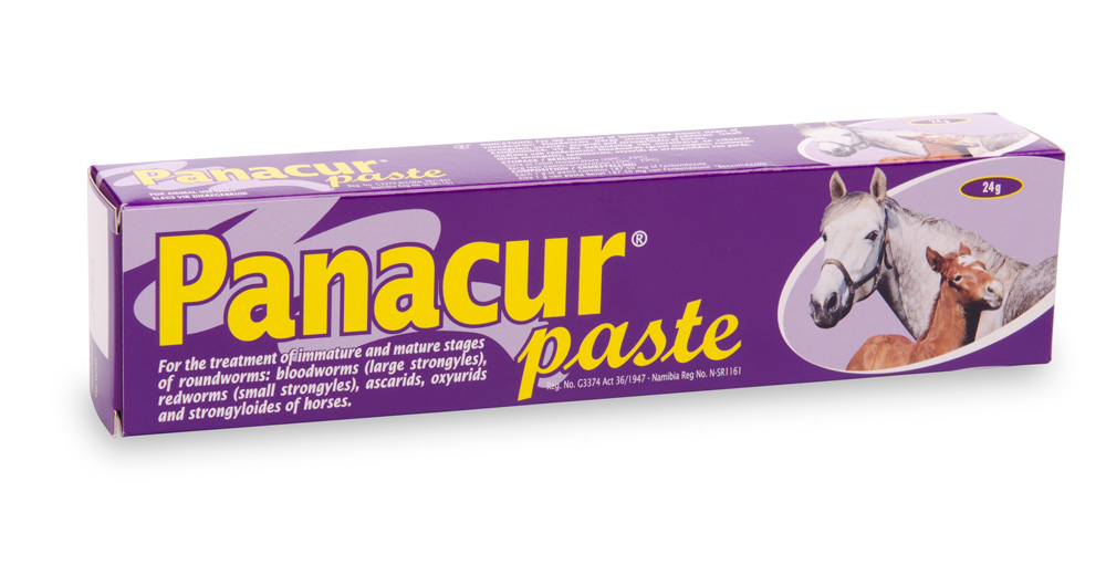 MSD PANACUR PASTE FOR HORSES 24G
