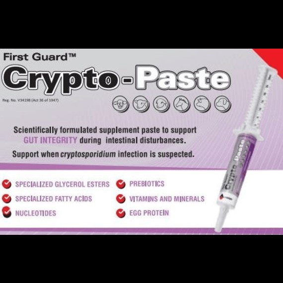 ANTROVET CRYPTO-PASTE 30G